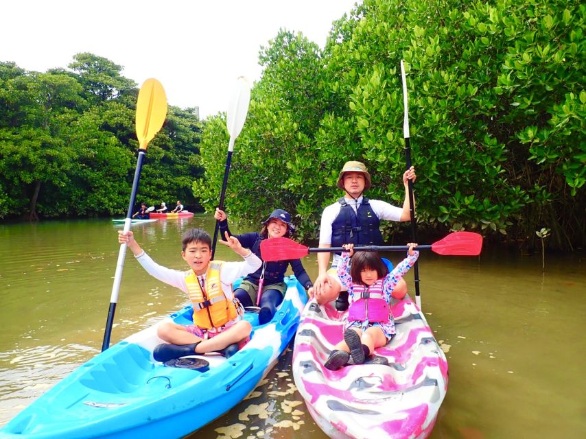 Ishigaki Island: 2-Hour Miyara River SUP or Canoeing Tour - Who should book this Miyara River outing?