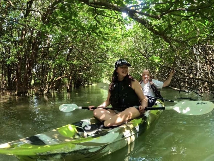 Ishigaki Island: 2-Hour Miyara River SUP or Canoeing Tour - From Ishigaki Port to the mangrove forest