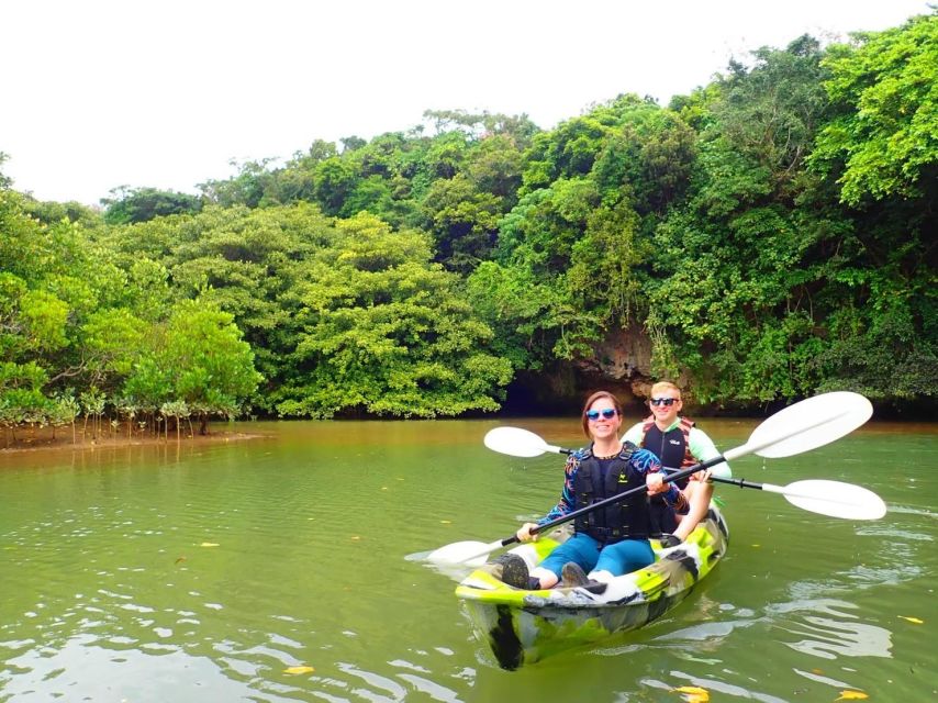 Ishigaki Island: 2-Hour Miyara River SUP or Canoeing Tour - Canoe or SUP: which should you choose?
