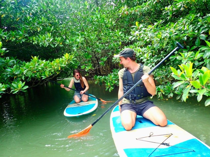 Ishigaki Island: 2-Hour Miyara River SUP or Canoeing Tour - Guides make the quiet river more interesting