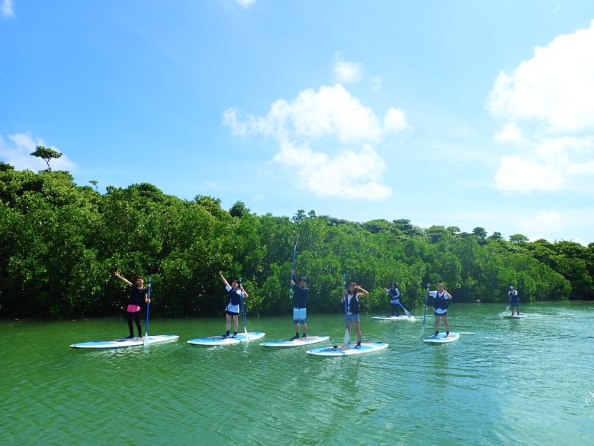 Ishigaki Island: 2-Hour Miyara River SUP or Canoeing Tour - Wildlife is possible, but nature sets the schedule