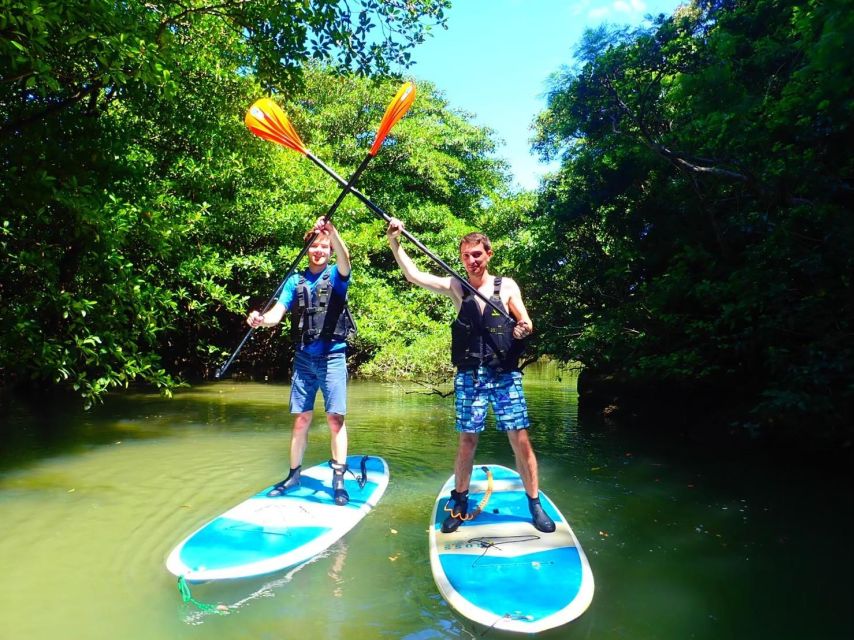 Ishigaki Island: 2-Hour Miyara River SUP or Canoeing Tour - Family-friendly, but check the age rules
