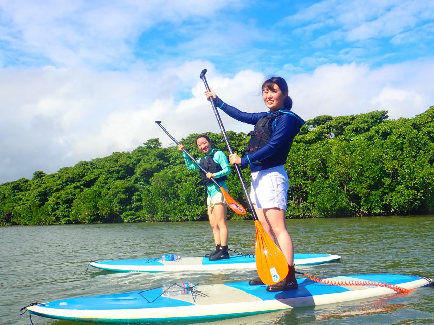 Ishigaki Island: 2-Hour Miyara River SUP or Canoeing Tour - What to wear and bring