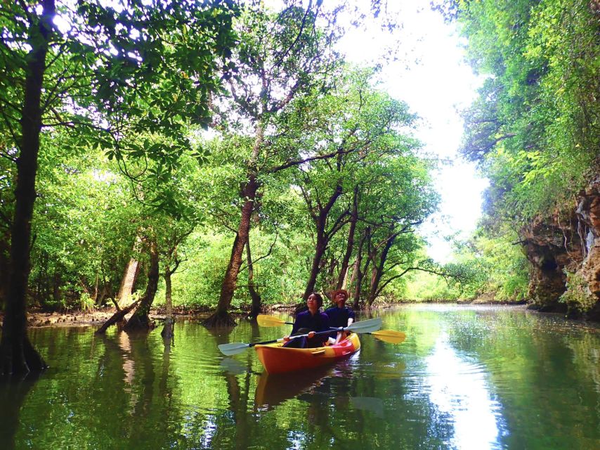 Ishigaki Island: 2-Hour Miyara River SUP or Canoeing Tour - Is $54 a fair price?