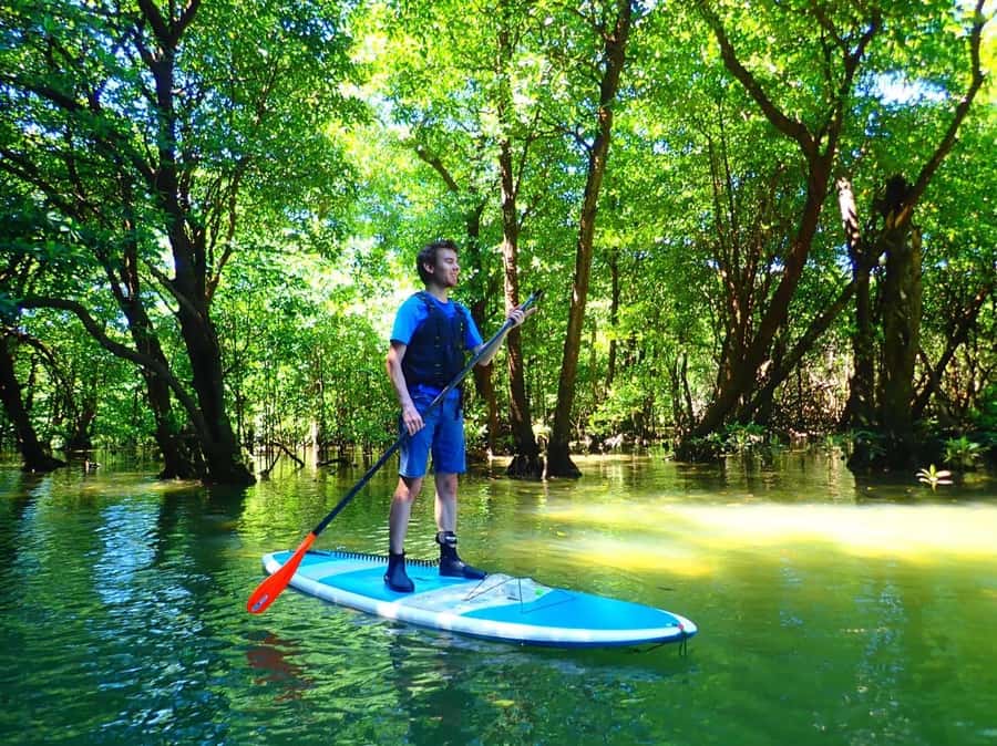 Ishigaki Island: SUP or Canoeing and Snorkeling at Blue Cave - Key points at a glance