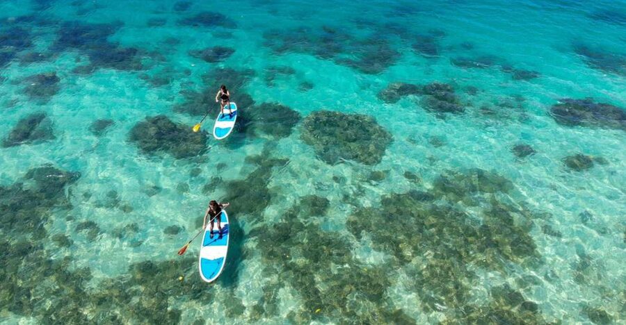 Ishigaki Island: SUP or Kayaking experience at Kabira Bay - Key points to know before booking