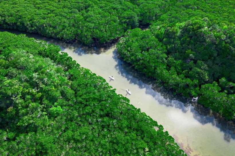Ishigaki:Mangrove&Sea SUP/Kayak Tour with SLR&Drone footage - Turning the paddle into a photo session