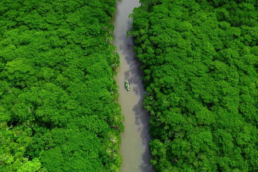 Ishigaki:Mangrove&Sea SUP/Kayak Tour with SLR&Drone footage - Timing, tides, and changing conditions