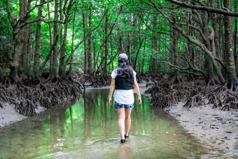 Ishigaki:Mangrove&Sea SUP/Kayak Tour with SLR&Drone footage - Should you book the Fukidogawa SUP and kayak tour?
