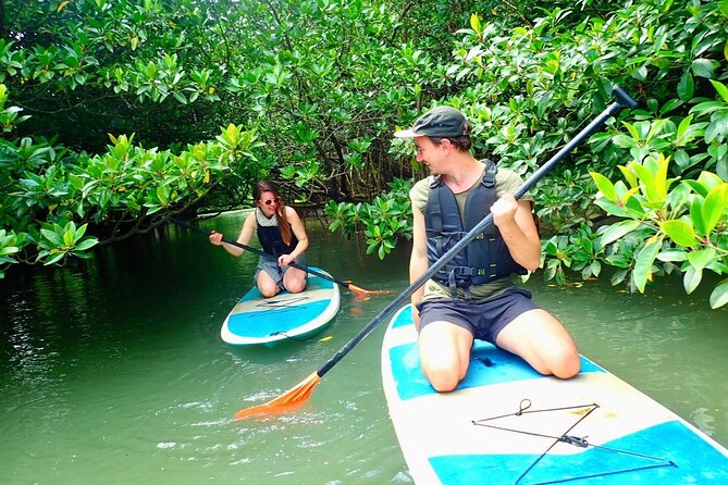 [Ishigaki]Mangrove SUP/Canoe + Blue Cave Snorkeling - Blue Cave brings the active second half
