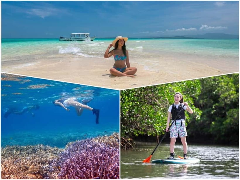 Ishigaki: Mangrove SUP or Canoe & Phantom Island Snorkeling - Key points to know before you book