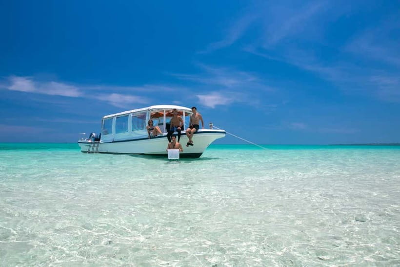 Ishigaki: Mangrove SUP or Canoe & Phantom Island Snorkeling - Why this six-hour Ishigaki tour works so well
