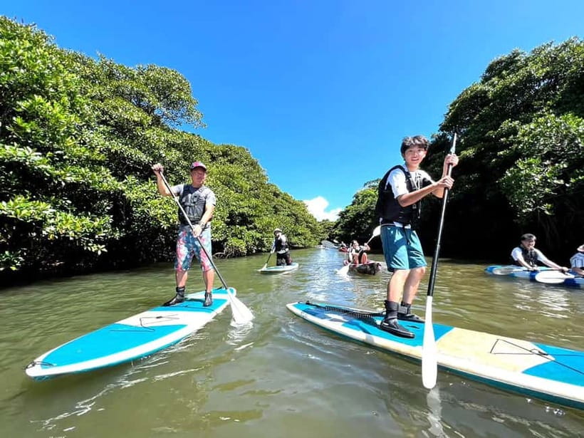 Ishigaki: Mangrove SUP or Canoe Tour & Taketomi Sightseeing - Starting at Ishigaki Port
