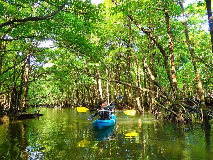 Ishigaki: Mangrove SUP or Canoe Tour & Taketomi Sightseeing - Returning to Ishigaki Port, then crossing to Taketomi