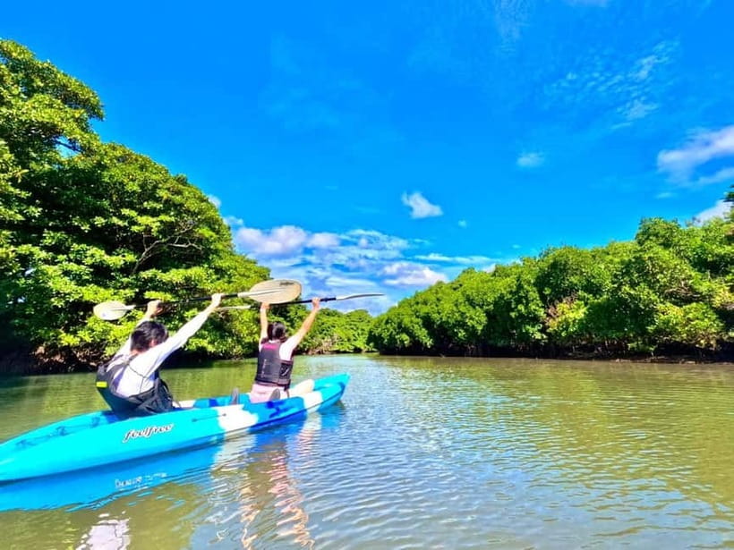 Ishigaki: Mangrove SUP or Canoe Tour & Taketomi Sightseeing - Who should book this experience?