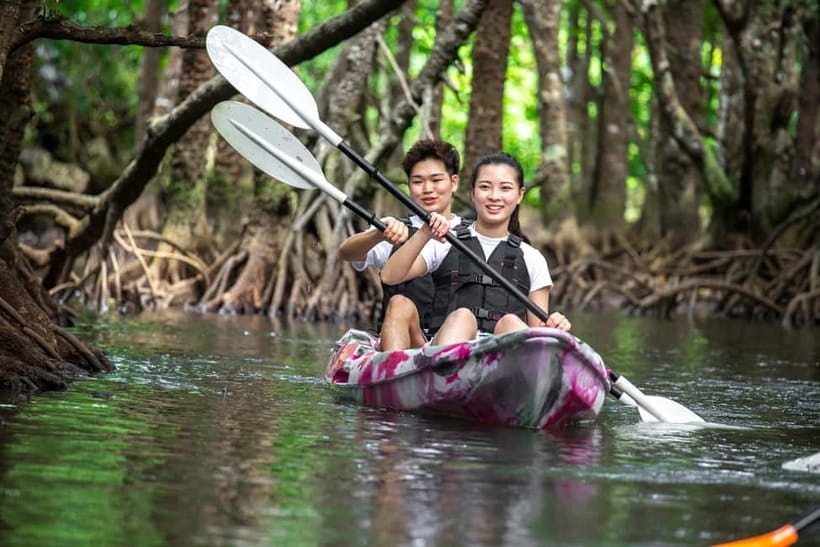 Ishigaki: Mangrove SUP or Canoe Tour & Taketomi Sightseeing - SUP or canoe: which should you choose?