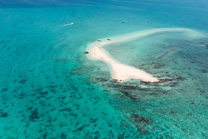 Ishigaki Mangrove SUP or Canoeing and Phantom Island Snorkeling - Is the $98.53 price good value?