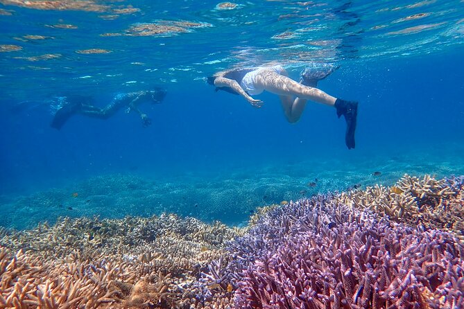 Ishigaki Phantom Island Snorkeling ＆ Kabira Bay SUP or Canoeing - Key points to know before booking