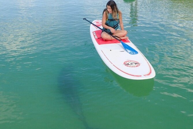 Island Tour by Pedal HOBIE / Kayak / SUP - Fort Myers Beach - Who Will Enjoy This Outing Most