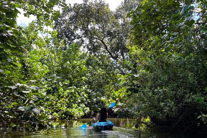 Kahana Bay River to Ocean: Kayak and Stand Up Paddle Board Rental - Starting at the private dock on Kahana River
