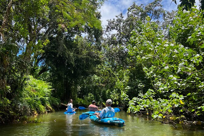 Kahana Bay River to Ocean: Kayak and Stand Up Paddle Board Rental - Booking, timing, and cancellation details