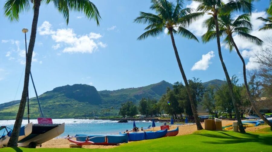 Kauai: Outrigger Canoe Surfing - Practical booking advice for a smoother outing