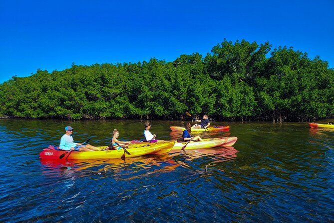 Kayak and Paddleboard Rentals at Siesta Key - Key points for your Siesta Key paddle