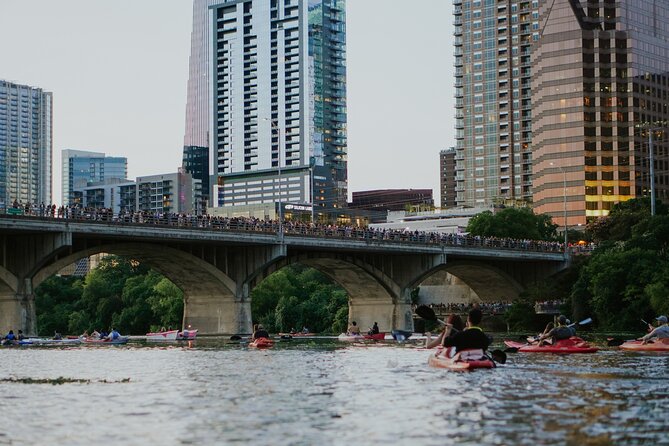 Kayak or Paddle Board Sunset Bat Tour - The Bat Viewing Stop at South Congress Avenue