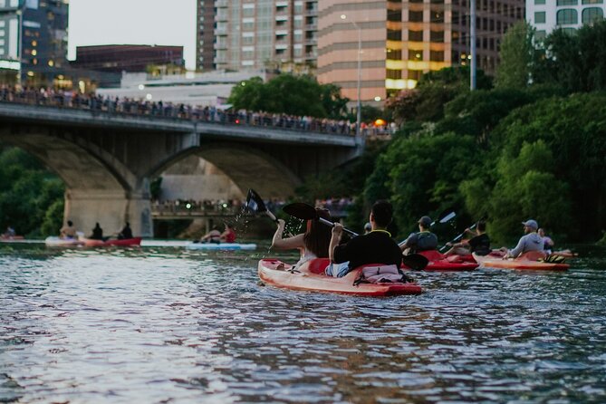 Kayak or Paddle Board Sunset Bat Tour - Guides Who Keep the Evening Moving
