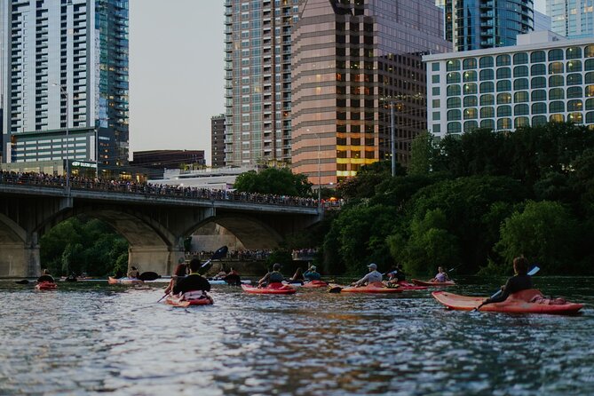 Kayak or Paddle Board Sunset Bat Tour - Booking Details and Cancellation Flexibility