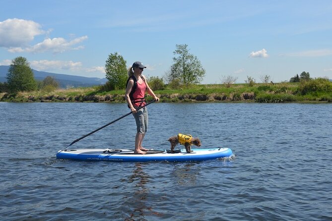 Kayak or Paddleboard Rentals Sosua , Cosita Rica, Neptuno Beach - Should you book the Supremo Water Sports rental?