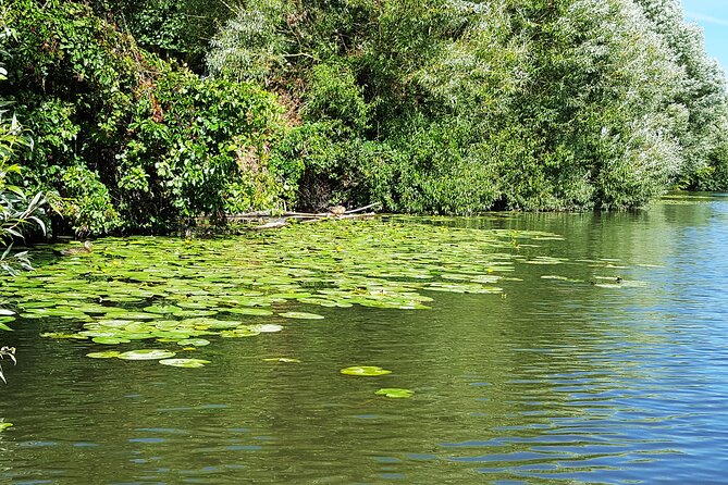Kayak or SUP tour on the water through Saarbrücken - What Martin Lang adds for beginners