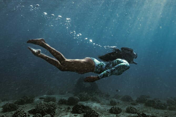 Kayak, Snorkel, and Surf with Turtles in Honolulu - Is $200 a fair price?
