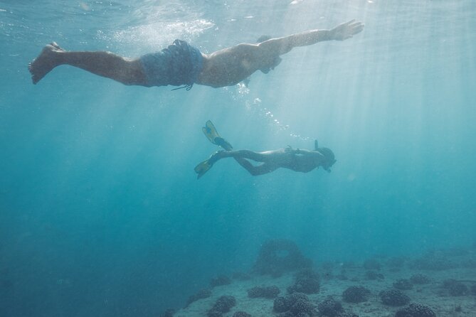 Kayak, Snorkel, and Surf with Turtles in Honolulu - Who should book this experience