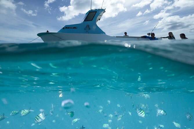 Kayak, Snorkel, and Surf with Turtles in Honolulu - Starting over Waikiki’s reef by kayak or paddleboard