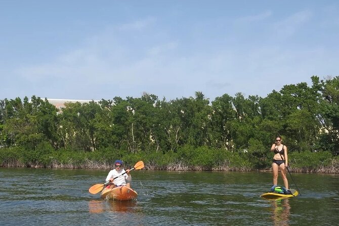 Key Largo 1 Hour Kayak or Paddle Board Rental - Choosing between a kayak and paddle board