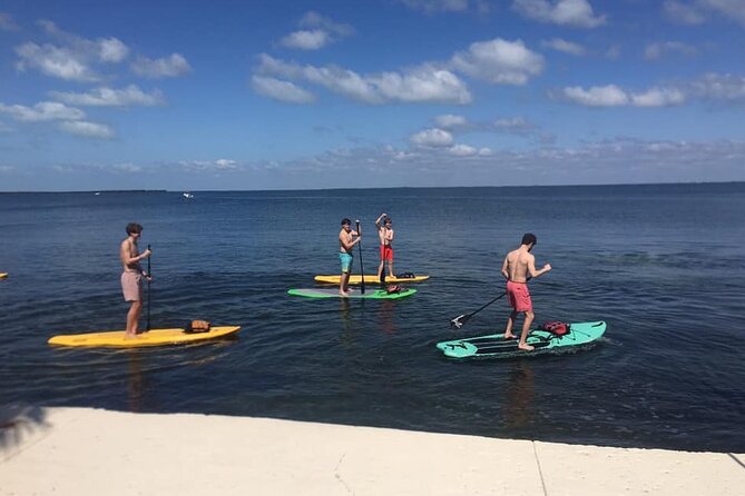 Key Largo 1 Hour Kayak or Paddle Board Rental - The value of $22 per vessel