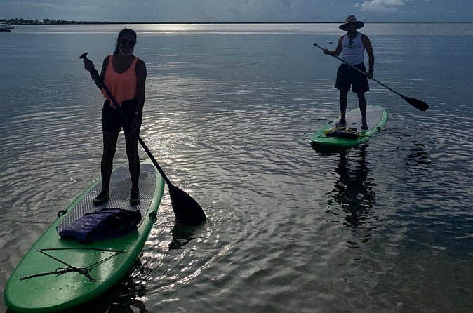 Key Largo 1 Hour Kayak or Paddle Board Rental - What makes the experience relaxing