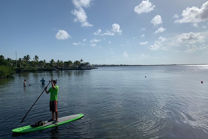 Key Largo 1 Hour Kayak or Paddle Board Rental - Paddling Florida Bay at your own pace