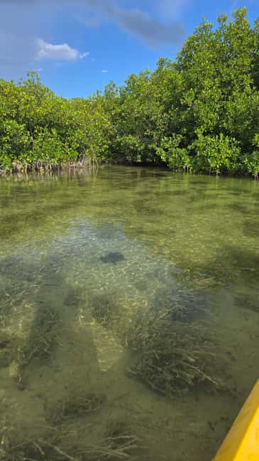 Key West: Kayak or Paddleboard Rental - What the two-hour timing really means