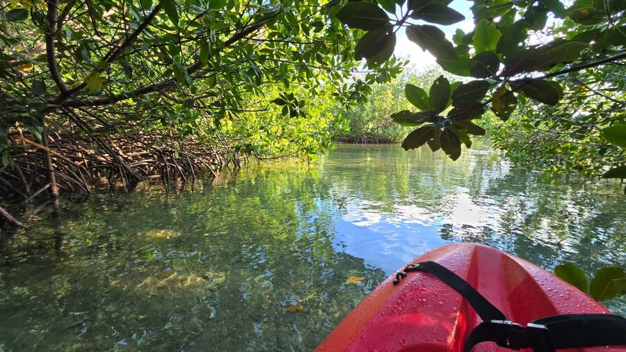 Key West: Kayak or Paddleboard Rental - Booking advice and practical preparation