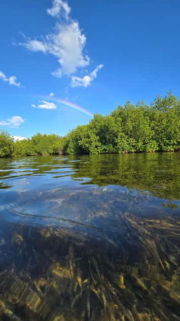 Key West: Kayak or Paddleboard Rental - Choosing between a kayak and paddleboard