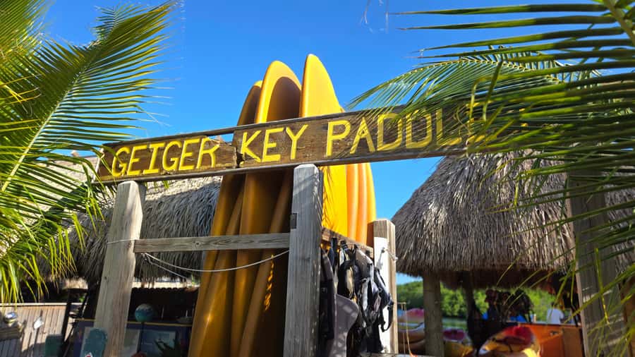 Key West: Mangrove Kayak or SUP Eco Tour - Why Key West’s mangroves are worth your morning