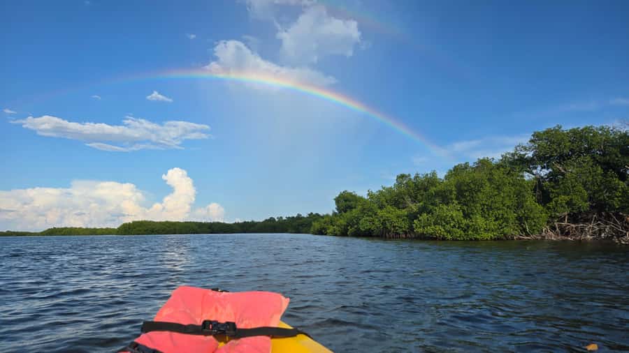 Key West: Mangrove Kayak or SUP Eco Tour - Choosing a kayak or stand-up paddleboard