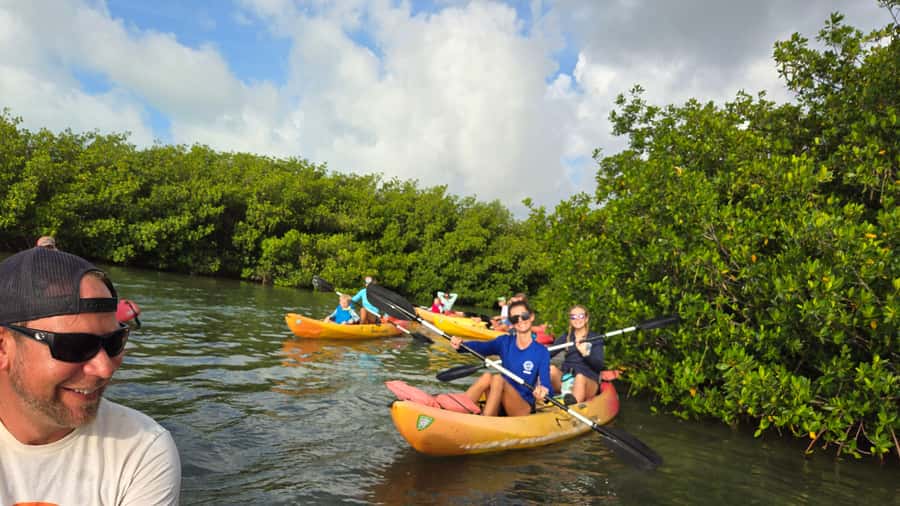 Key West: Mangrove Kayak or SUP Eco Tour - The naturalist guide is a major part of the value