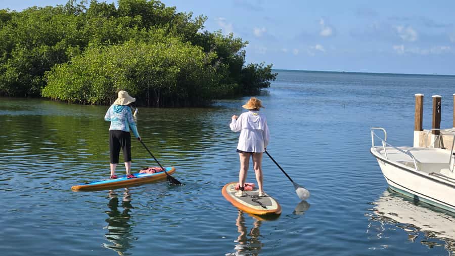 Key West: Mangrove Kayak or SUP Eco Tour - Price, group size, and what you receive