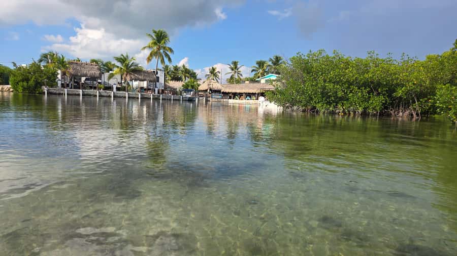 Key West: Mangrove Kayak or SUP Eco Tour - Should you book the Key West mangrove tour?
