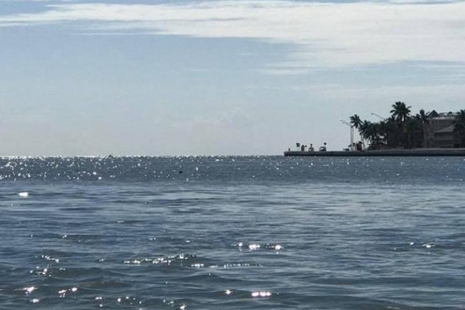 Key West Stand Up Paddleboard Rental - Starting at Stock Island, Not Central Key West