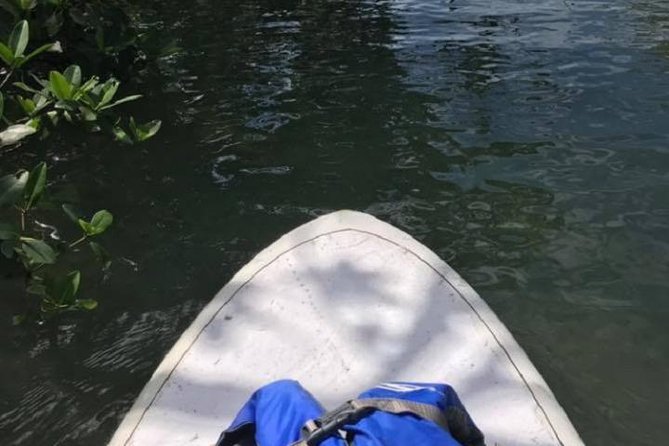 Key West Stand Up Paddleboard Rental - The Dry-Land Lesson Before You Launch