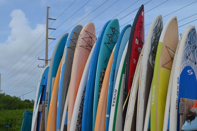 Key West Stand Up Paddleboard Rental - Two Hours Among Mangroves and Sea Grass